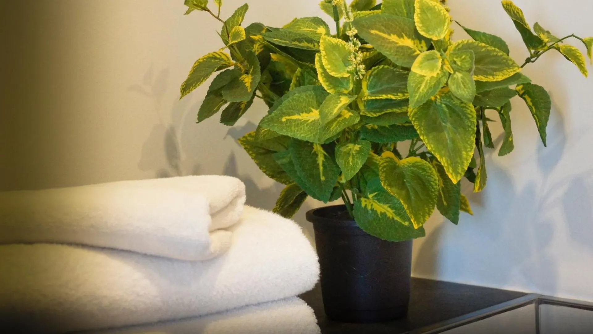 Hotel Athen Kelsterbach Frankfurt Airport